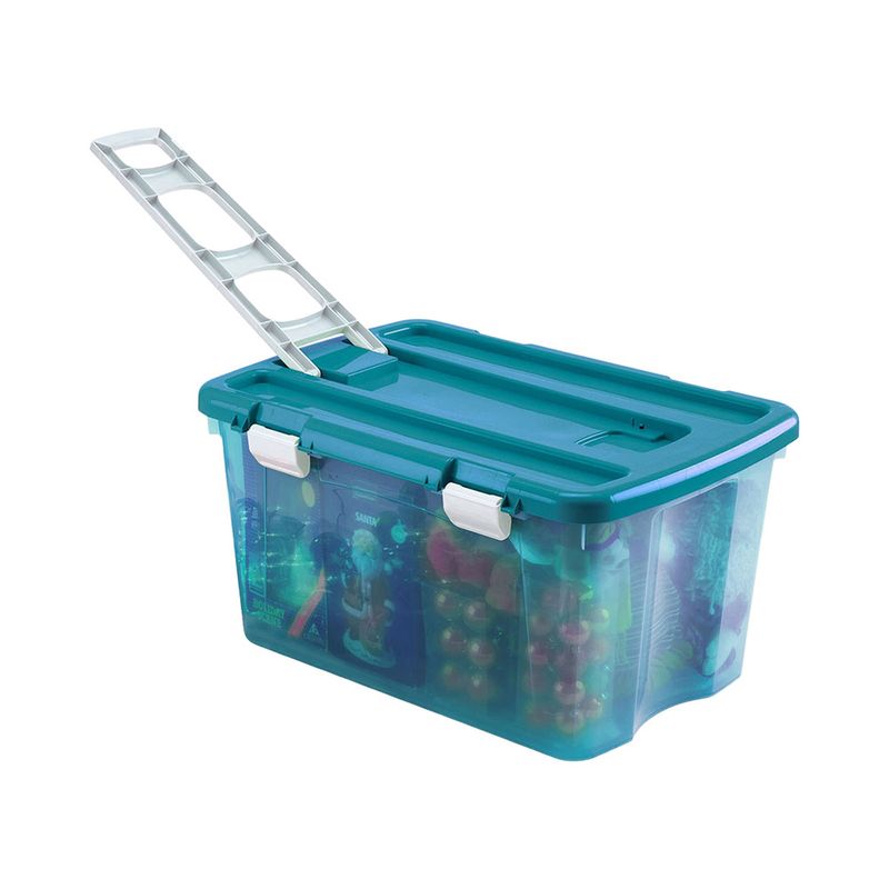 Caja organizadora Clear Rimax