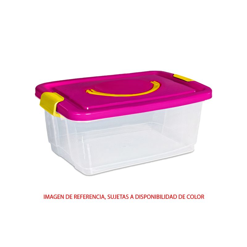 Caja Organizadora Grande N°2 53 Litros Plástica Kendy Color