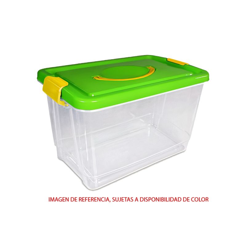 Caja Organizadora Transparente 20 lt. Baja